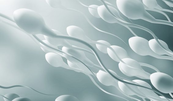 Por que o sêmen tem cheiro semelhante ao de água sanitária?