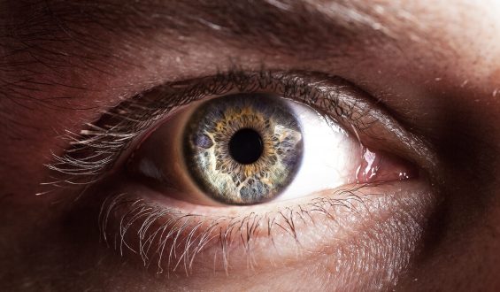 Dia Mundial da Saúde Ocular reforça necessidade de maior cuidado com os olhos durante a pandemia