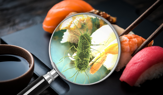 Confira dicas para evitar a intoxicação alimentar neste fim de ano