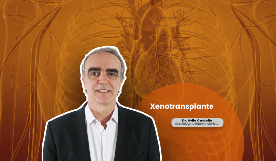 XENOTRANSPLANTE