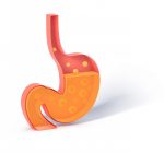 Por que o ácido estomacal não corrói o estômago?