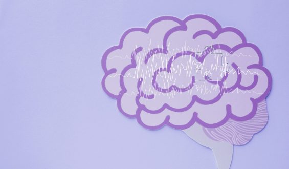Purple day