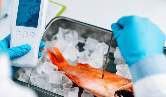 Especial páscoa: cuidado com os peixes!