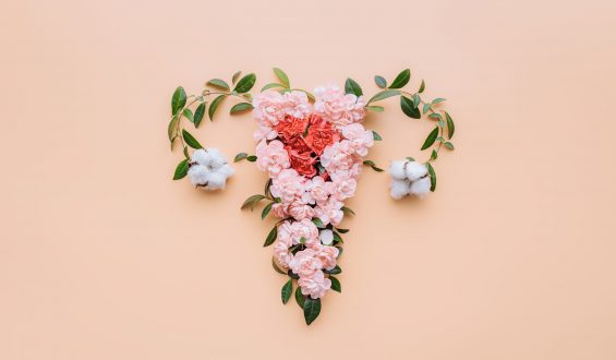Endometriose: Causas, como diagnosticar, sintomas e tratamentos