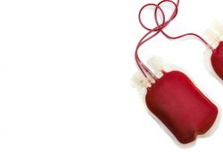 Doação de sangue: mitos e verdades