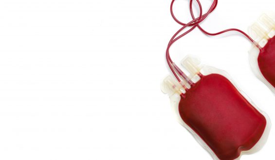 Doação de sangue: mitos e verdades