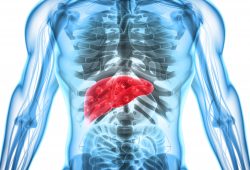 Dia Mundial de Luta Contra Hepatites Virais