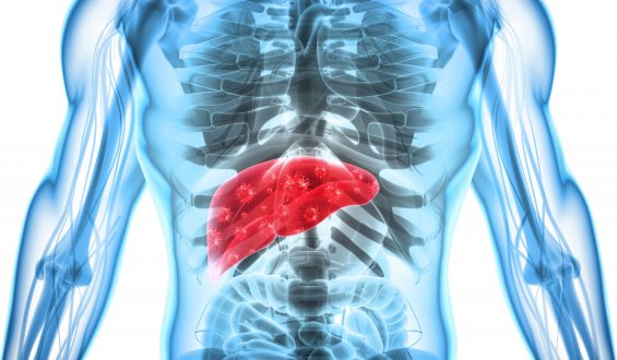 Dia Mundial de Luta Contra Hepatites Virais