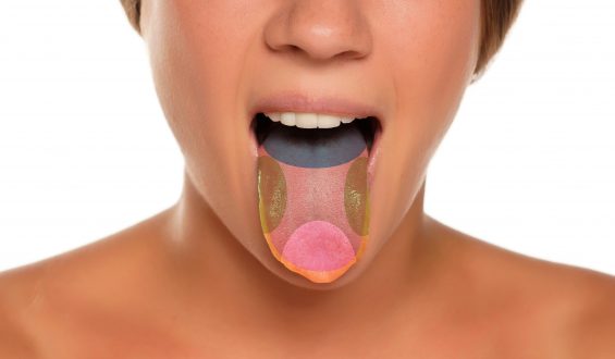 Regiões da língua que você sente sabor