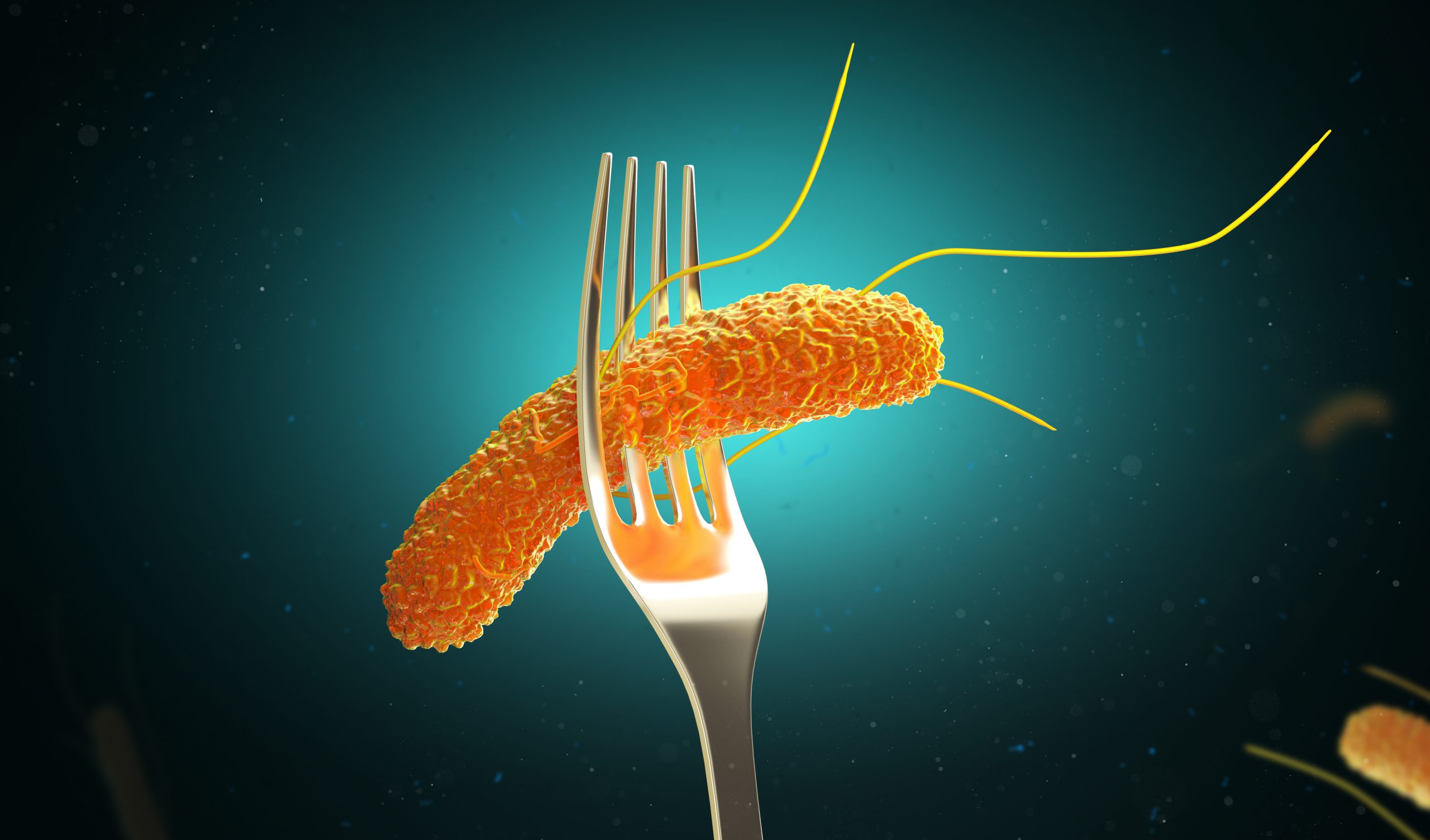 Dicas para evitar intoxicação alimentar no verão