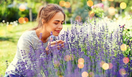 Dia da Conscientização de Anosmia: Compreendendo a Perda do Olfato