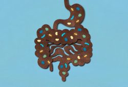 Transplante fecal: como funciona e quais os benefícios
