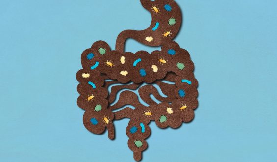 Transplante fecal: como funciona e quais os benefícios