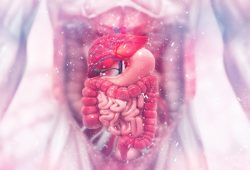 Maio Roxo: Dedicado ao alerta sobre doenças inflamatórias intestinais