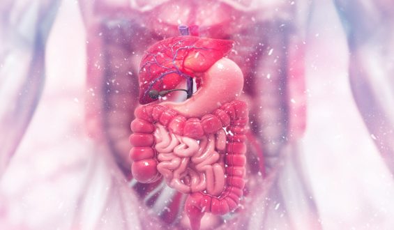 Maio Roxo: Dedicado ao alerta sobre doenças inflamatórias intestinais