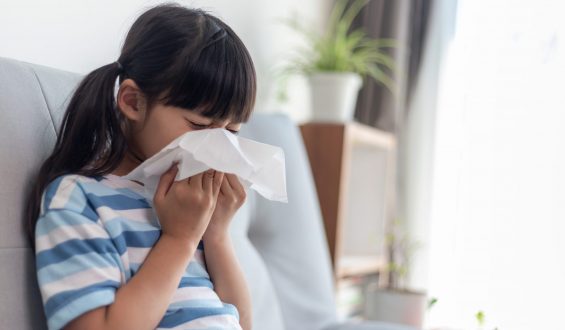 Ácaros: Os Desencadeadores de doenças respiratórias