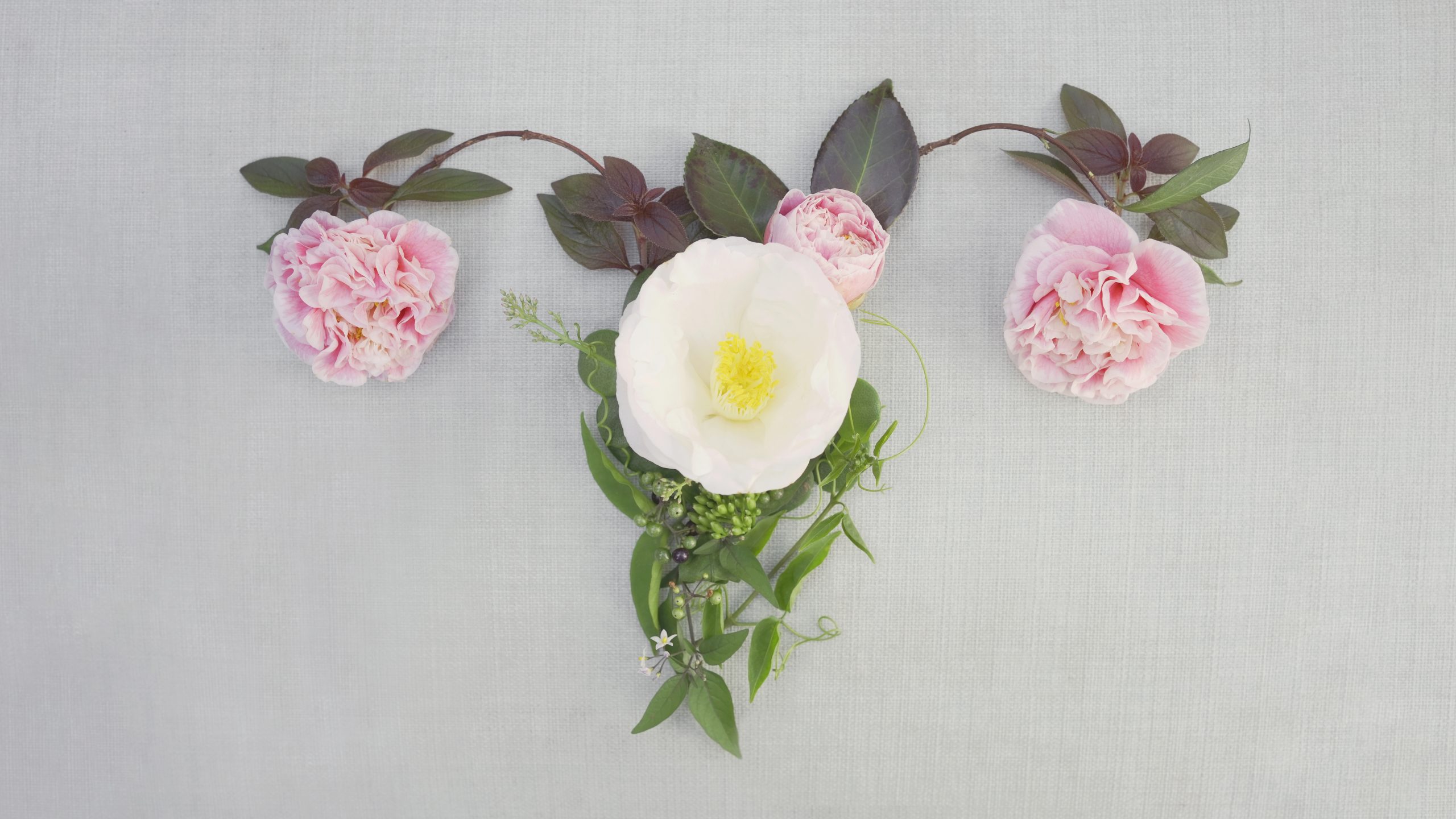 Síndrome do Ovário Policístico X Sindrome Metabólica