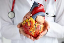 Dia Nacional de Prevenção das Arritmias Cardíacas e Morte Súbita: SOBRAC lança a campanha “Coração na Batida Certa”