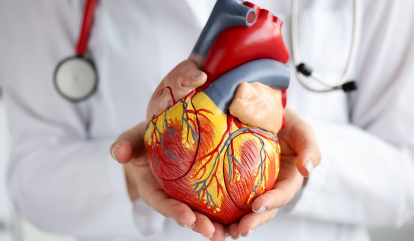 Dia Nacional de Prevenção das Arritmias Cardíacas e Morte Súbita: SOBRAC lança a campanha “Coração na Batida Certa”