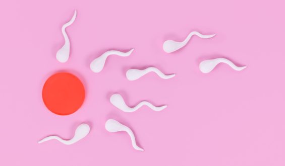 Quanto tempo o esperma fica no organismo?