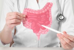 Microbiota Intestinal