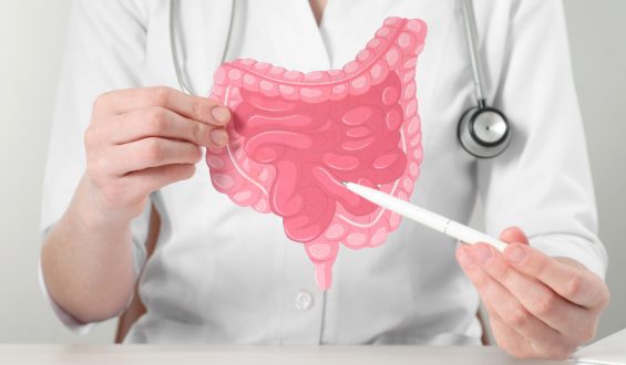 Microbiota Intestinal