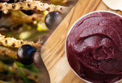 Açaí: A Superfruta da Amazônia