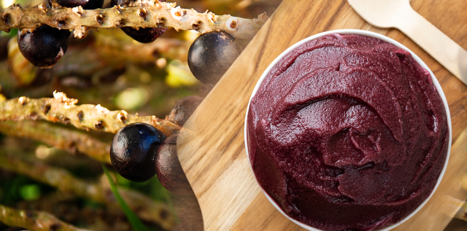 Açaí: A Superfruta da Amazônia