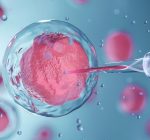 Inseminação Artificial (IA) e Fertilização In Vitro (FIV): entenda a diferença entre os tratamentos