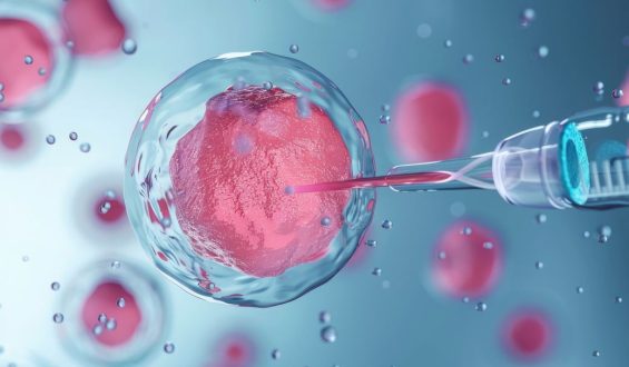 Inseminação Artificial (IA) e Fertilização In Vitro (FIV): entenda a diferença entre os tratamentos