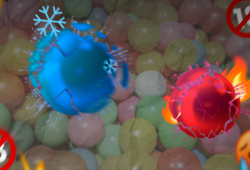 Bolinhas explosivas, divertido ou arriscado?