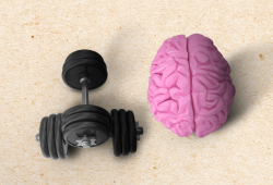 Atividades e Exercícios que Podem Ajudar na Prevenção do Alzheimer