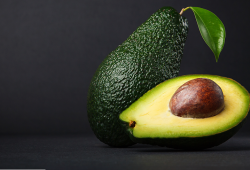 O abacate e seus nutrientes essenciais para a saúde do corpo