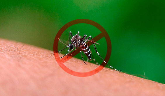 Dia Nacional de Combate à Dengue reforça importância de ações preventivas
