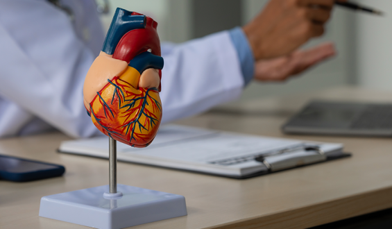 Saiba os cuidados com a saúde vascular em diabéticos