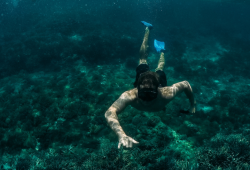 Mergulho em águas rasas: perigos e precauções