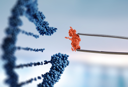 DNA: o que ele revela além de herança genética?