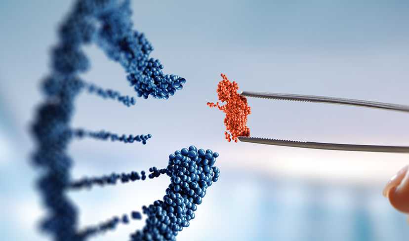 DNA: o que ele revela além de herança genética?