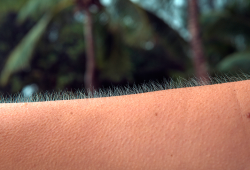 Por que sentimos arrepios quando estamos com frio ou medo?