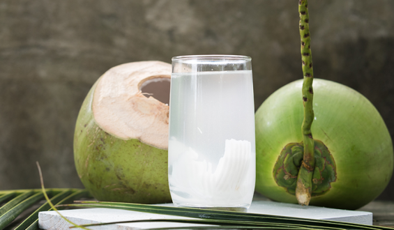 Posso substituir água comum pela água de coco?