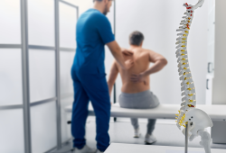 Curiosidades sobre a Coluna Vertebral
