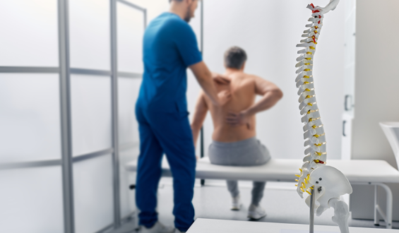 Curiosidades sobre a Coluna Vertebral