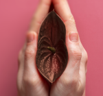 Vagina escurecida: o que fazer?