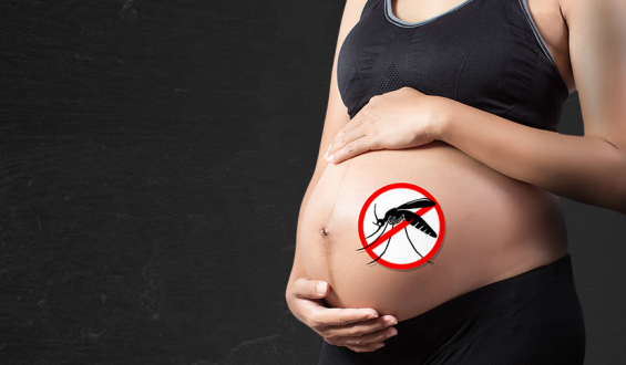 Com o aumento de casos de dengue em 2025 grávidas precisam redobrar os cuidados