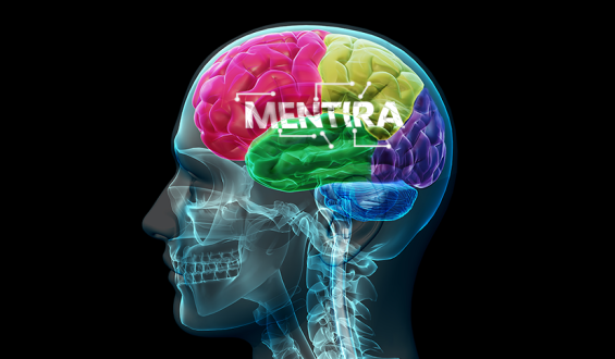 1º de abril: neurologista fala do circuito da mentira no cérebro