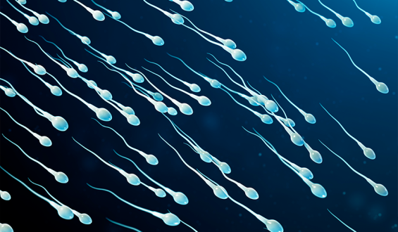Uma gota de esperma tem quantos espermatozoides?