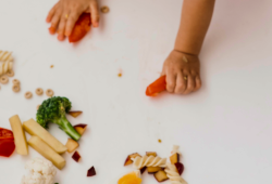 Alimentação infantil nas férias: como manter energia e saúde