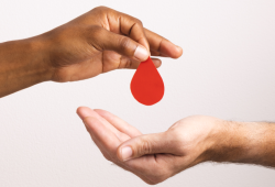 Talassemia: da complexidade do diagnóstico ao desconhecimento, os desafios de uma doença que exige transfusões de sangue rotineiramente