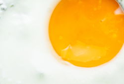 Gema e clara: quais são as diferenças?