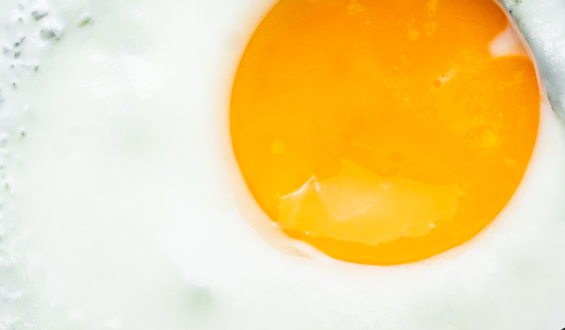 Gema e clara: quais são as diferenças?